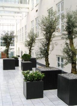Firkantet indendørs kubisk sort eller grå krukke i fiberstone