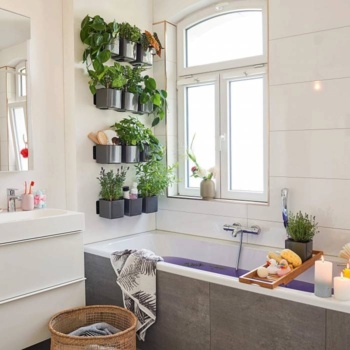 Vægpotter med selvvanding / Lechuza Green Wall