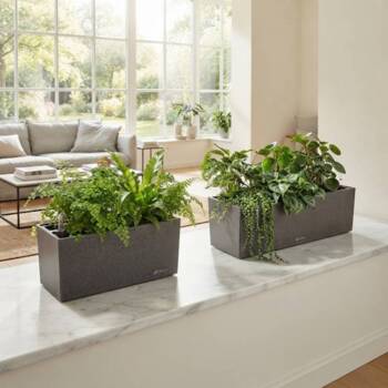 Lechuza blomsterkasse / altankasse Stone / selvvanding - 4 farver