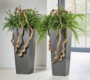 Lechuza Cubico Alto Premium - 105cm - hvid eller antrazit