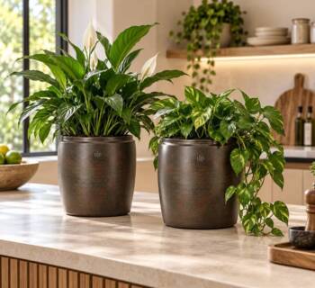 Metalpotter i antik brun - recycle metal