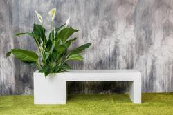 Bænk i hvid fiberstone med plantekumme - L.150x45x45cm