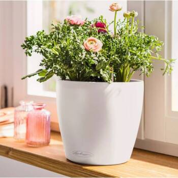 Lechuza COLOR Classico plantepotte - Ø.21cm med selvvanding - 2 farver