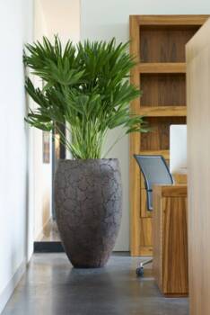 100cm Stonecast vase / krukke - exclusive indoor