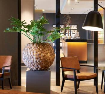 Rund krukke / bowl med coconut - 3 str.