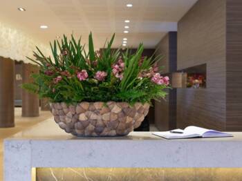 Gondol / plantepotter med Coconut skaller - 2 str.