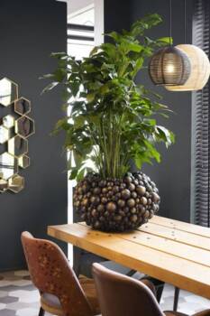 Globo plantepotter i antik guld - Ø.55cm