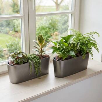 40cm aflang plantekrukke med selvvanding til vinduer - Hvid + Antrazit