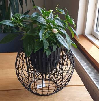 Potteskjuler / potteholder med sorte  metaltråde - Ø.26cm