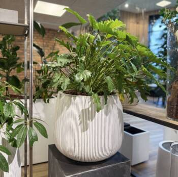 Krukke i Fiberstone med lodrette riller - 2 str - hvid antik eller Grå