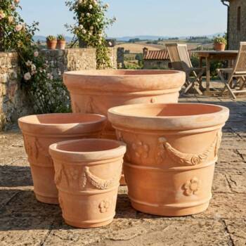 Italienske Terracotta krukker med ranker og blomster