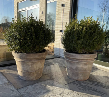 Terracotta Krukke i lys choko - Ø.50xH.40