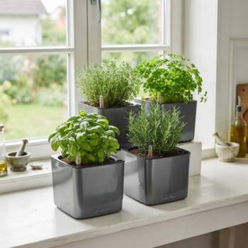 Lille antrazit Lechuza plantepotte med selvvanding - 16x16x16cm