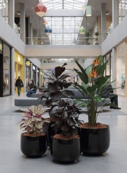 Sorte glaserede udendørs krukker i sæt - 4stk