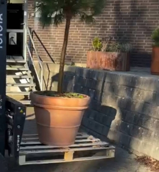 Stor Klassisk Italy Terracotta Krukke - Op til Ø.100cm