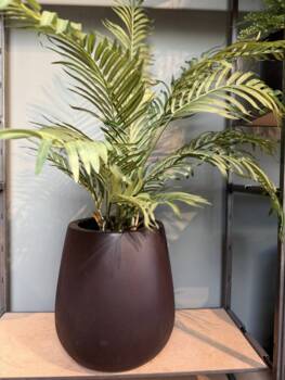 Str medium afbilledet her