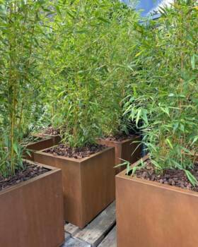 Firkantede kubiske rust krukker i cortenstål / 3 str