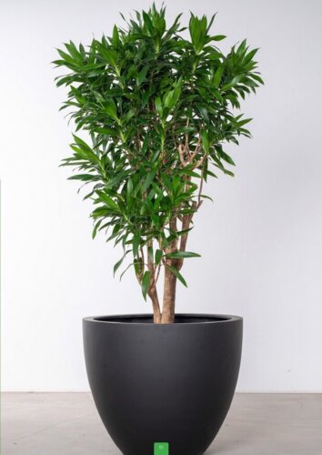 Stor matsort eller matgrå krukke i fiberstone / 3 størrelser