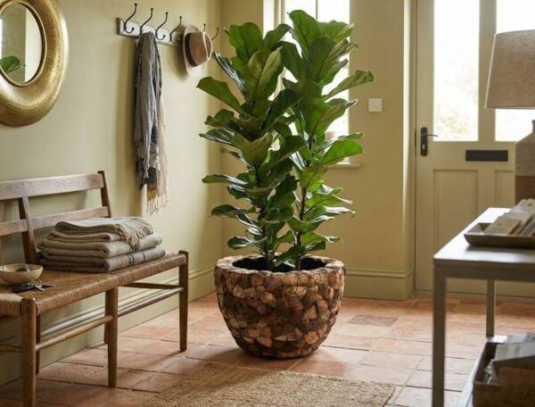 Rund krukke med coconut skaller - Ø.55cm