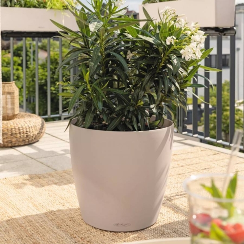 Stor Lechuza Krukke Ø.70 med selvvanding - sandbrun / Afhentning