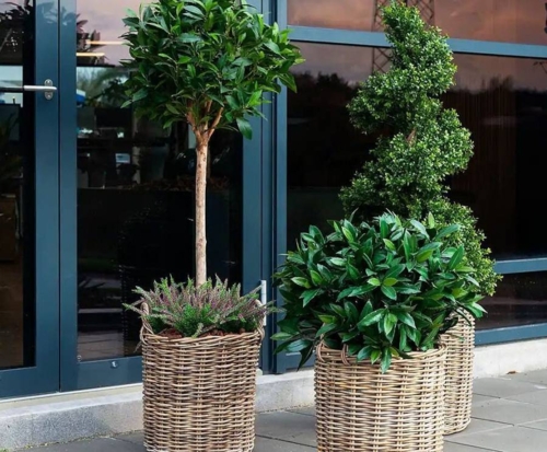 Store runde pilekrukker / rattankrukker med  håndtag / 3stk i sæt