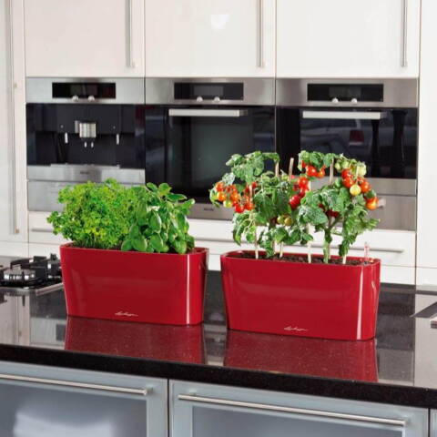 40cm aflang plantekrukke med selvvanding til vinduer - Rød - Hvid - Antrazit - Lilla
