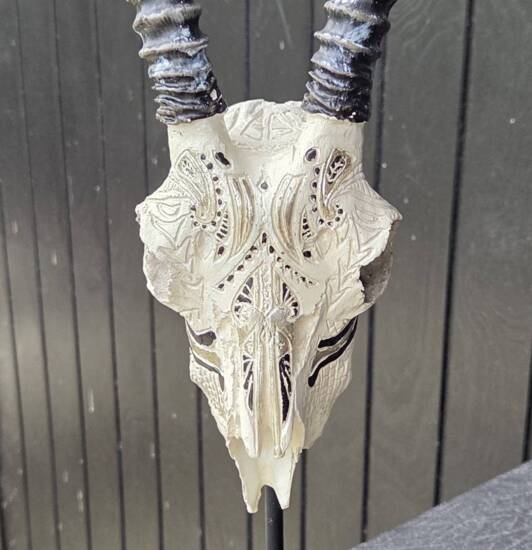 Antilope trofæ i resin på fod
