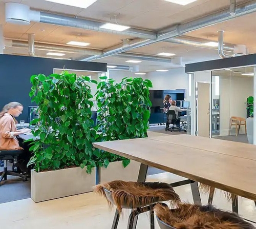 Lave aflange indendørs / udendørs plantekummer - sort eller sand - VANDTÆTTE