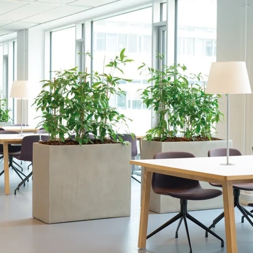 Høje aflange indendørs plantekummer - sort eller sand - VANDTÆTTE - 2 størrelser.