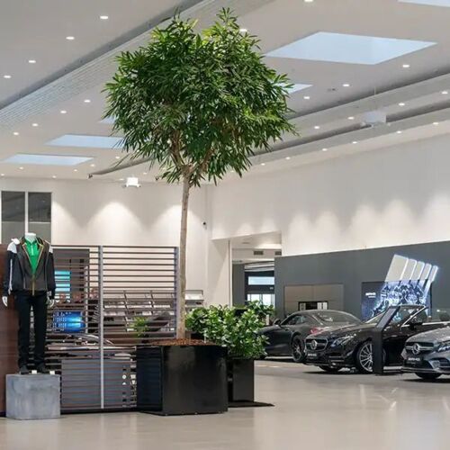 Stor indendørs firkantet krukke / plantekumme med hjul - op til 140x140cm