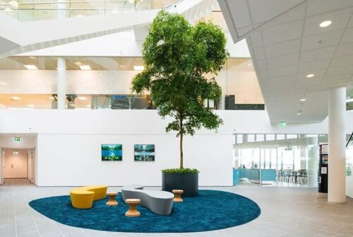 Store runde indendørs Jumbo plantekrukker med hjul - sort eller grå - ø.90 + ø.110cm