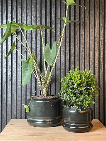 Upcycled plantepotter i metal - Sæt med 2 stk - Gråblå + Flaskegrøn