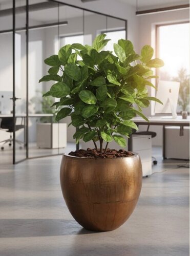 Stor Vega metal krukke GOLD OXYD - 4 størrelser