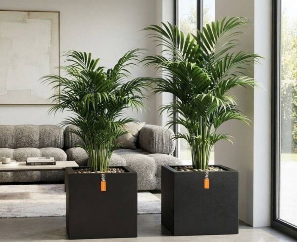 Sort glat firkantet kubisk krukke smooth black