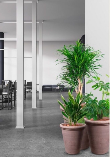 Stor konisk rund Terracotta krukke - 3 størrelser