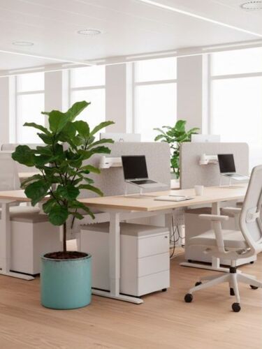 Green Jade - Glaseret cylinder krukke - Ø.40+Ø.50+Ø.60