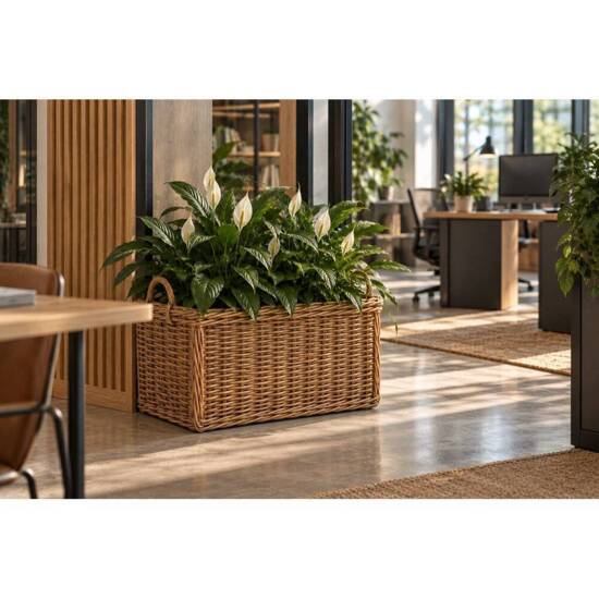 Aflange rattan krukker med hjul - L.60cm + L.70cm