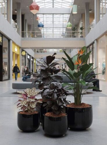 Sorte glaserede udendørs krukker i sæt - 4stk