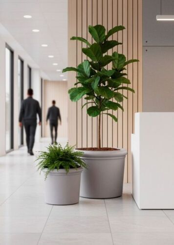 Store krukker i fiber concrete / cementfarve - op til Ø.85cm