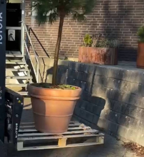 Stor Klassisk Italy Terracotta Krukke - Op til Ø.100cm