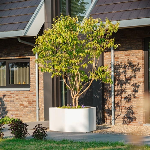 Store organic SHAPE plantekasser i glasfiber - Udendørs + Indendørs