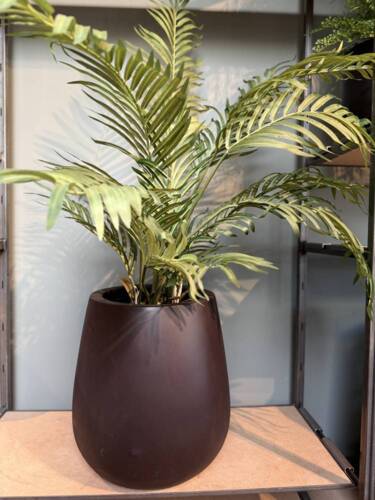 Str medium afbilledet her