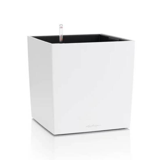 Lechuza Cube Color med selvvanding