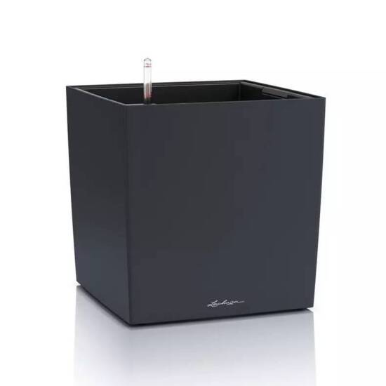 Lechuza Cube Color med selvvanding