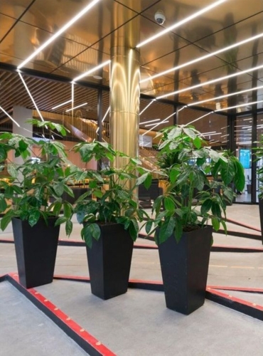 Krukker i gummi / recycled - Rund eller Firkantet - H.51cm