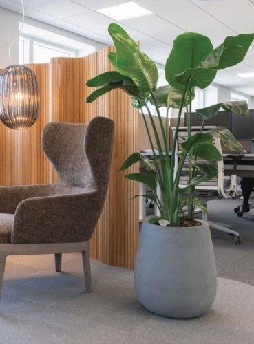 Stor konisk sort eller grå plantekrukke - 2 str.