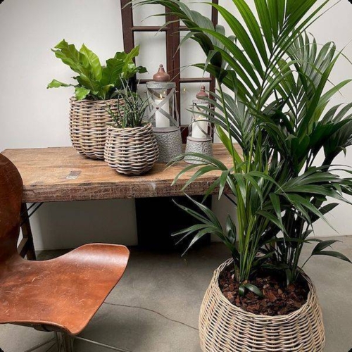 Store runde pilekurve - Sæt 3stk