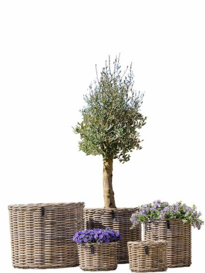 Kubu rattan plantekurve - sæt 5stk