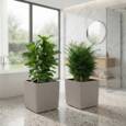 Lechuza Cube Cottage / Polyrattan - grafit-antrazit-sand-lysegrå - 40x40cm+50x50cm