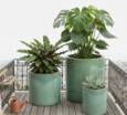 Light green glazed ceramic pots / sæt 3stk